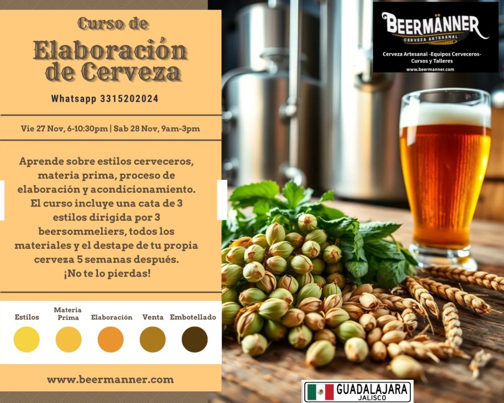 WhatsApp Image 2025-11-05 at 11.25.59 AM